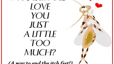 لماذا البعوض لا يقرص بعض الناس