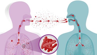 الفرق بين مريض السل و حامل الجرثومة