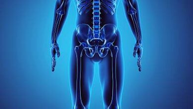 كيف يعمل جسم الانسان؟ 10 أنظمة 21 كيف يعمل الجسم عند الانسان؟