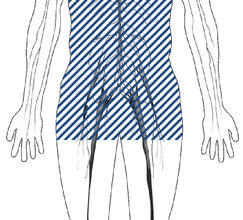 الاعتلال العصبي السكري اللاإرادي: 7 أعراض 16 اعتلال الأعصاب السكري اللاإرادي