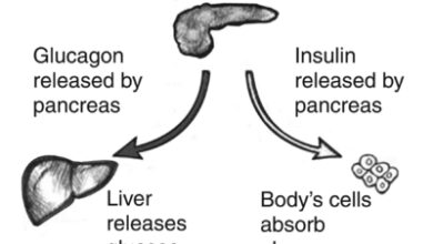 اعراض مقاومة الانسولين