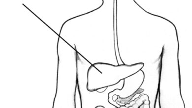 11 هي أعراض التهاب الكبد A 17 أعراض التهاب الكبد A