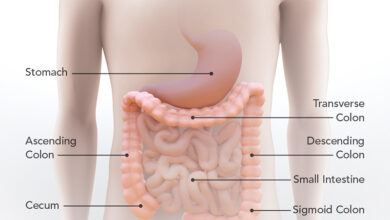 اعراض التهاب المستقيم