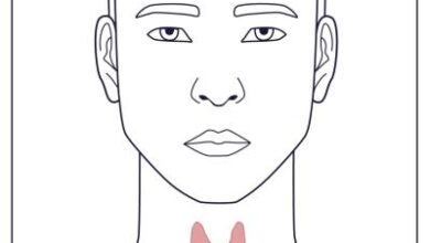 نشاط الغدة الدرقية: 7 أعراض 24 علامات نشاط الغدة الدرقية