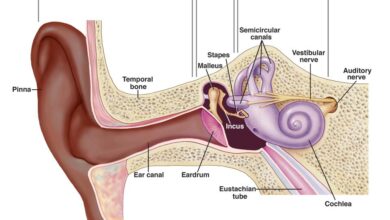 تكرار التهاب الاذن عند الأطفال: 11 سبب 17 سبب تكرار التهاب الاذن عند الأطفال