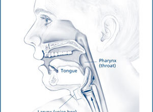 سبب صعوبة البلع