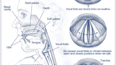 البحة: 8 أسباب 15 سبب البحة في الصوت