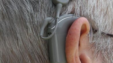 زراعة الحلزون: 3 فوائد 19 زراعة الحلزون