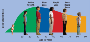 هشاشة العظام عند الرجال: 7 أسباب 16 نمو وفقدان العظام مع العمر
