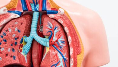 التهاب الشعب الهوائية: 6 أعراض 16 سبب التهاب الشعب الهوائية