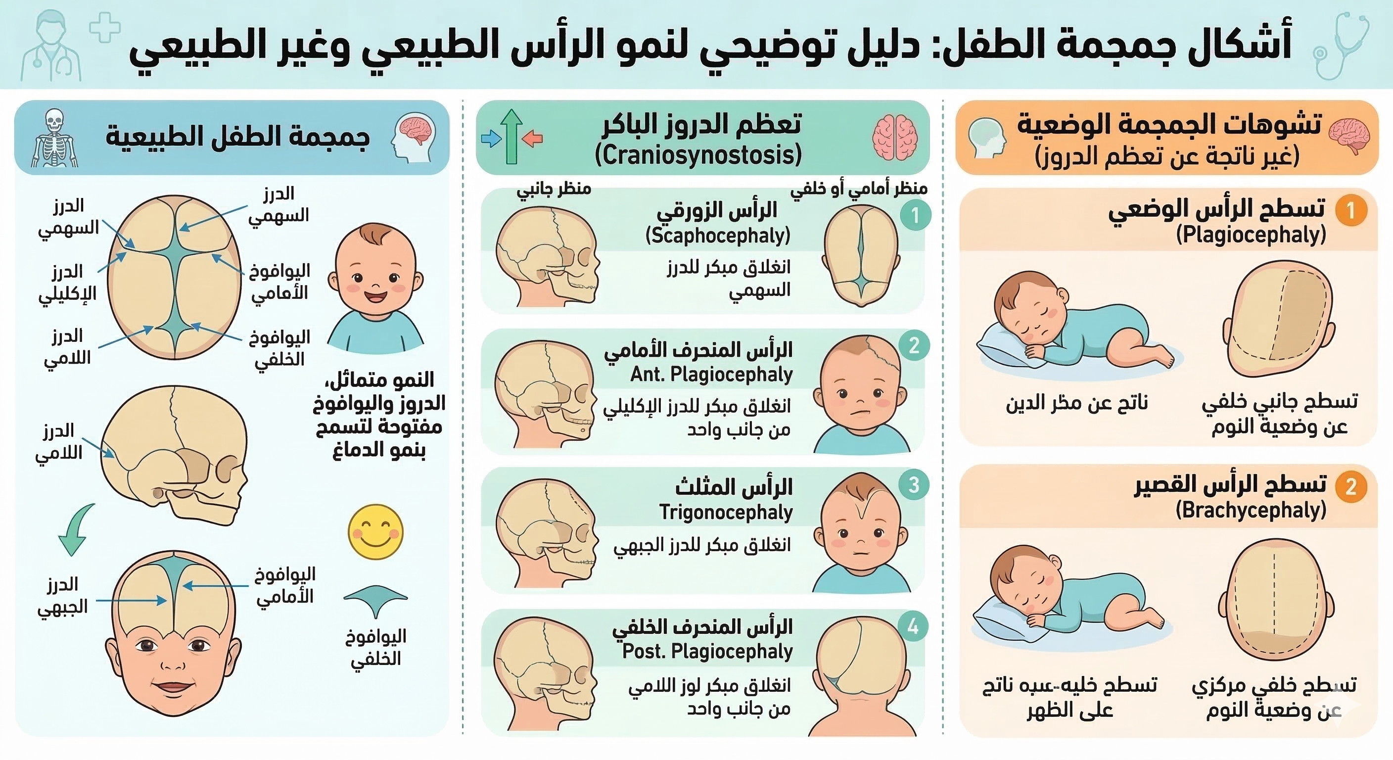 بروز عظمة خلف الرأس عند الأطفال 1