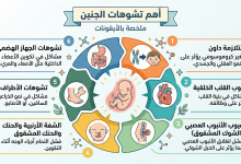 متى تظهر تشوهات الجنين