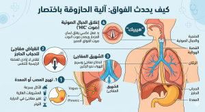 كيف تحدث الحازوقة