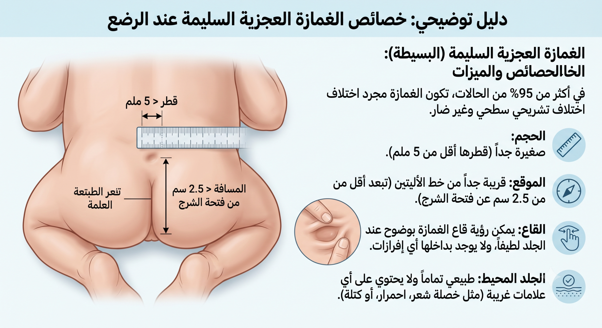 الغمازة العجزية 3