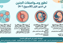 الجنين في الشهر الأول