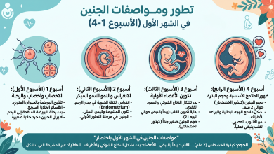 الجنين في الشهر الأول