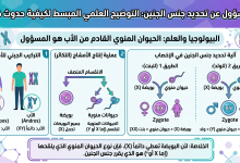 من المسؤول عن إنجاب الولد أو البنت؟