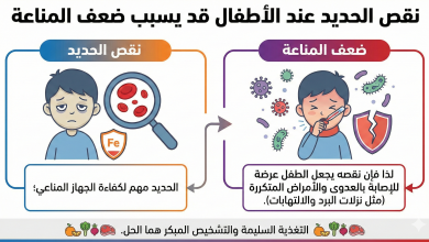 الفيريتين ومخزون الحديد